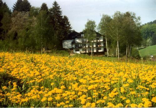 Birkenhof Hotel Wald-Michelbach Eksteriør billede