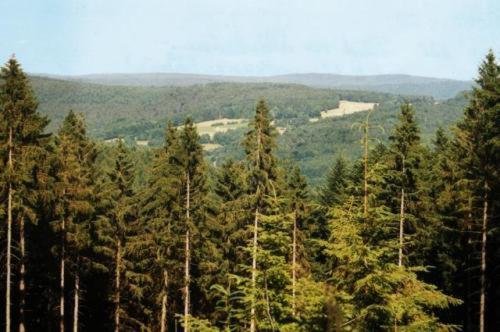 Birkenhof Hotel Wald-Michelbach Eksteriør billede
