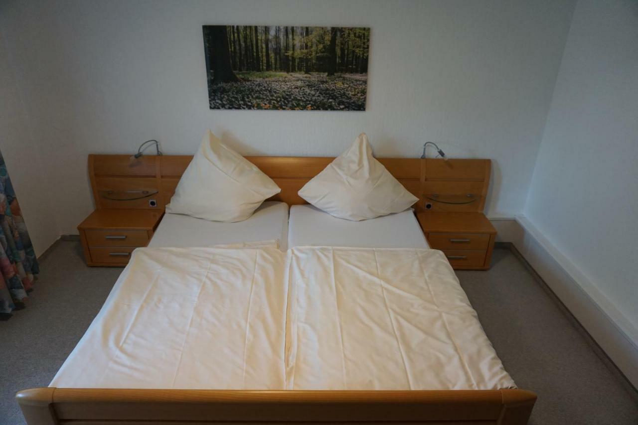 Birkenhof Hotel Wald-Michelbach Eksteriør billede