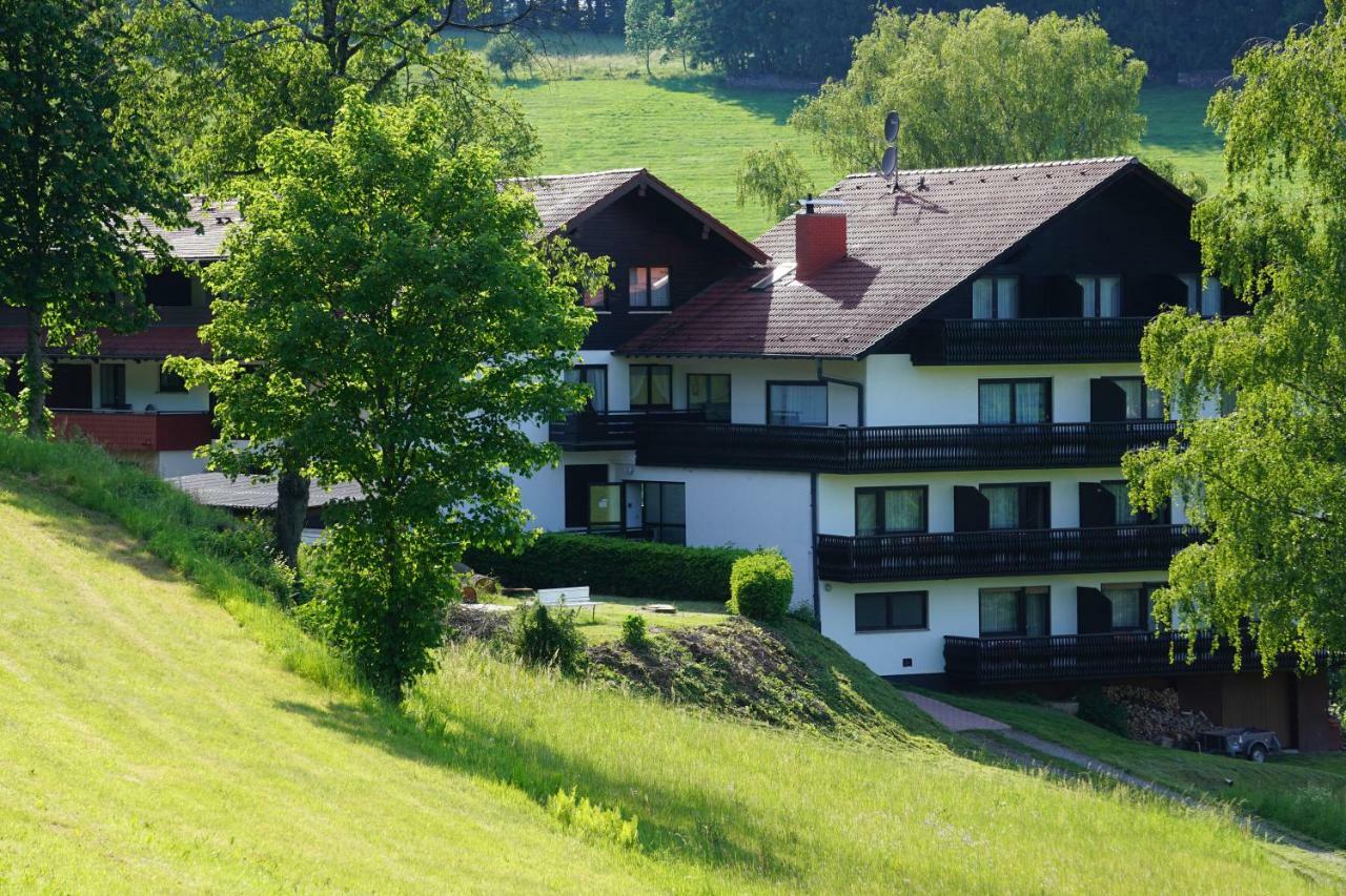 Birkenhof Hotel Wald-Michelbach Eksteriør billede