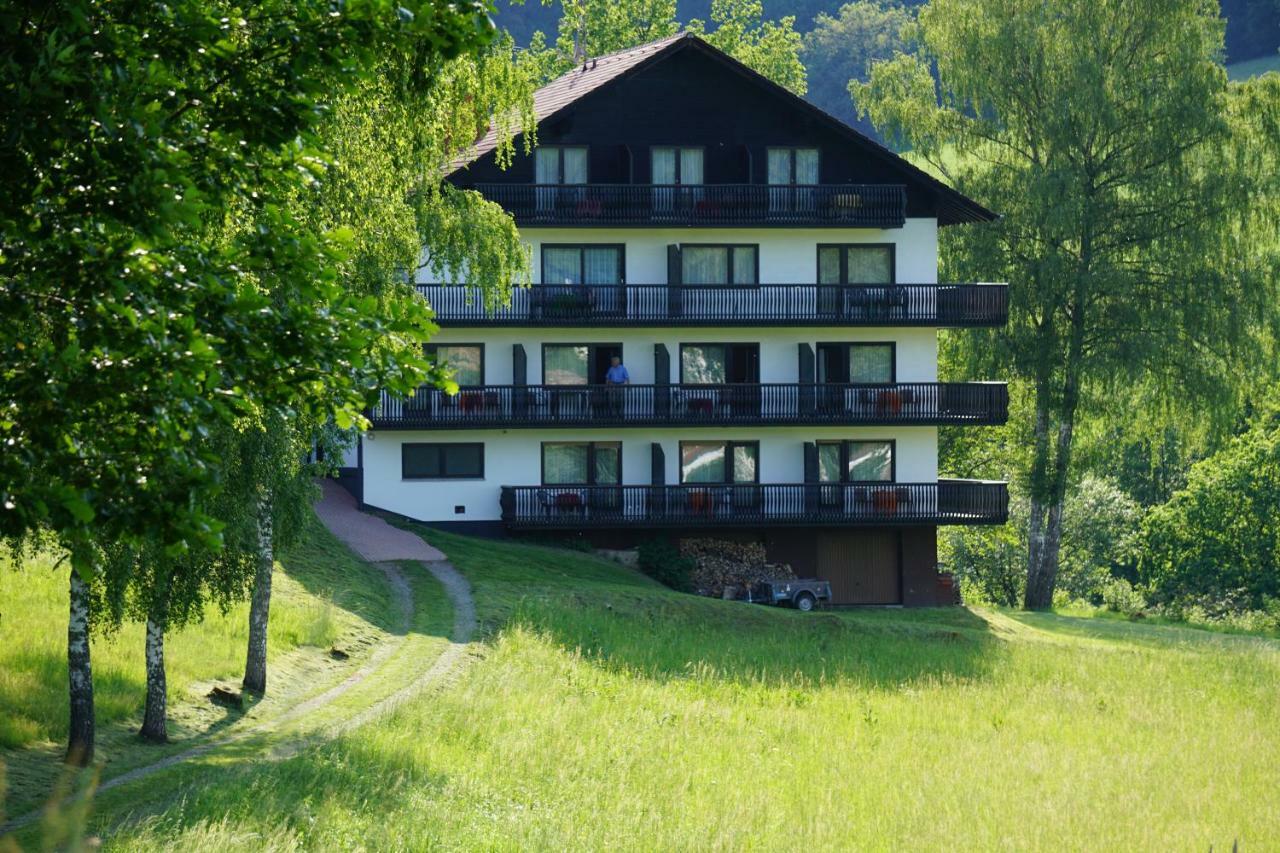 Birkenhof Hotel Wald-Michelbach Eksteriør billede