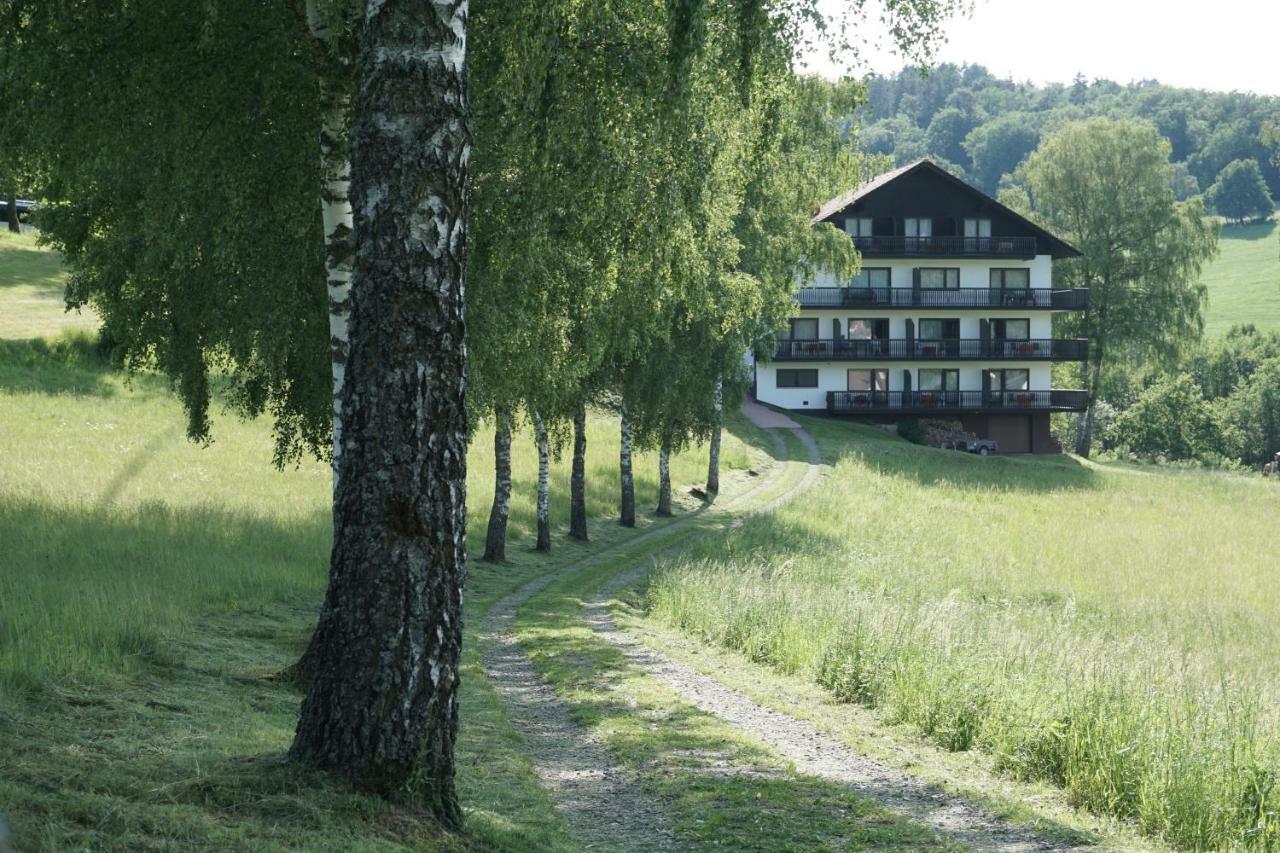 Birkenhof Hotel Wald-Michelbach Eksteriør billede
